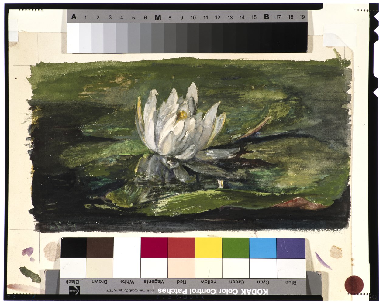 Leknín ve slunečním světle, 1881 od John La Farge or Lafarge