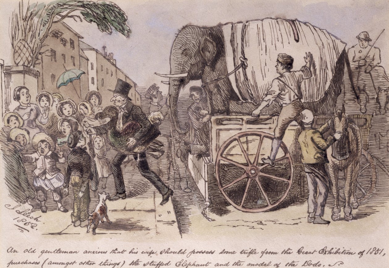 „Starý pán, který se obává, že by jeho žena měla nějakou maličkost z Velké výstavy v roce 1851, kupuje (mimo jiné) plyšového slona a model dodo“, nakresleno pro Punch od John Leech