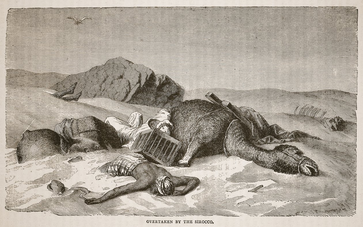 Předběhlo Sirocco, ilustrace z Obrazového vydání života a objevů Davida Livingstona od J. Ewinga Richieho, pub. od A. Fullartona a Co., 1876 od John Martin