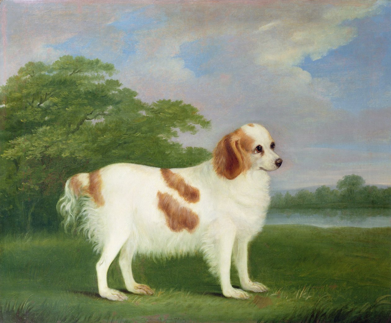 Španěl v krajině, 1789 od John Nott Sartorius