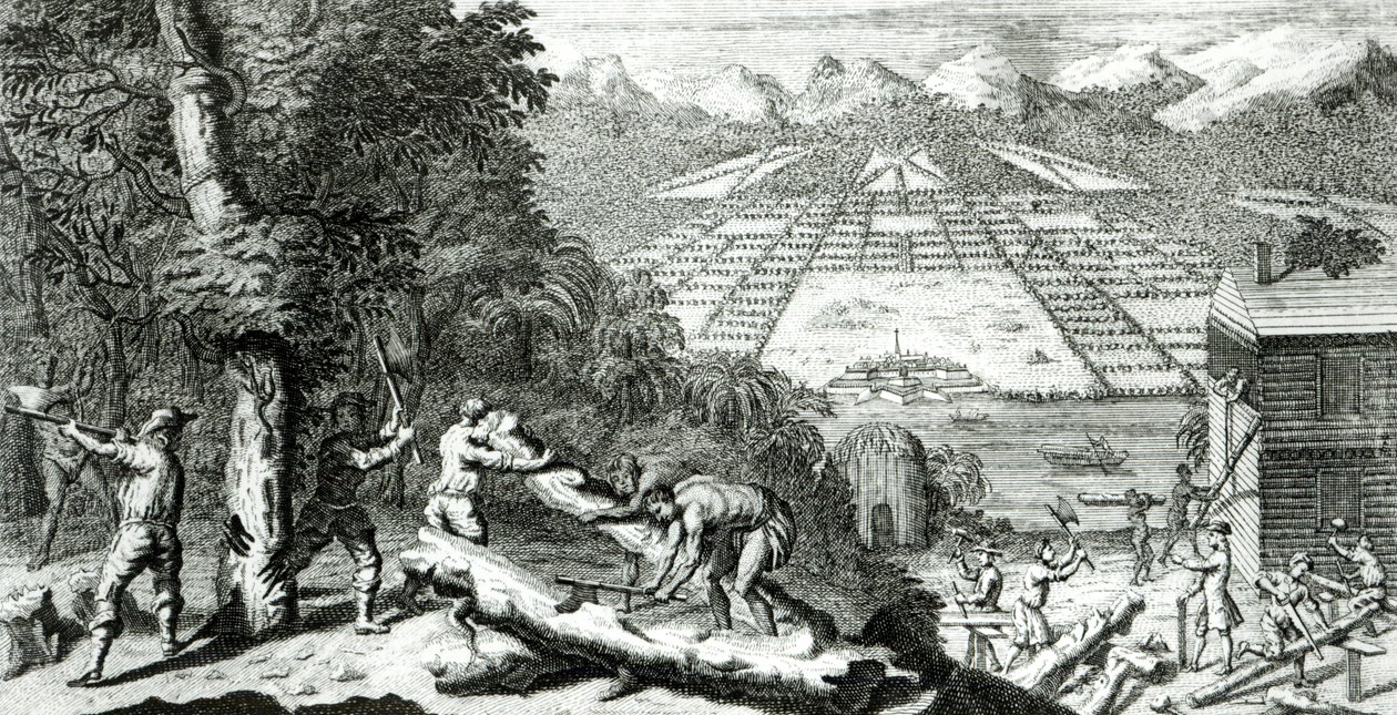 Ilustrace z knihy „Důvody pro založení kolonie Georgia“ od Benjamina Martyna (1699-1763), 1733 od John Pine