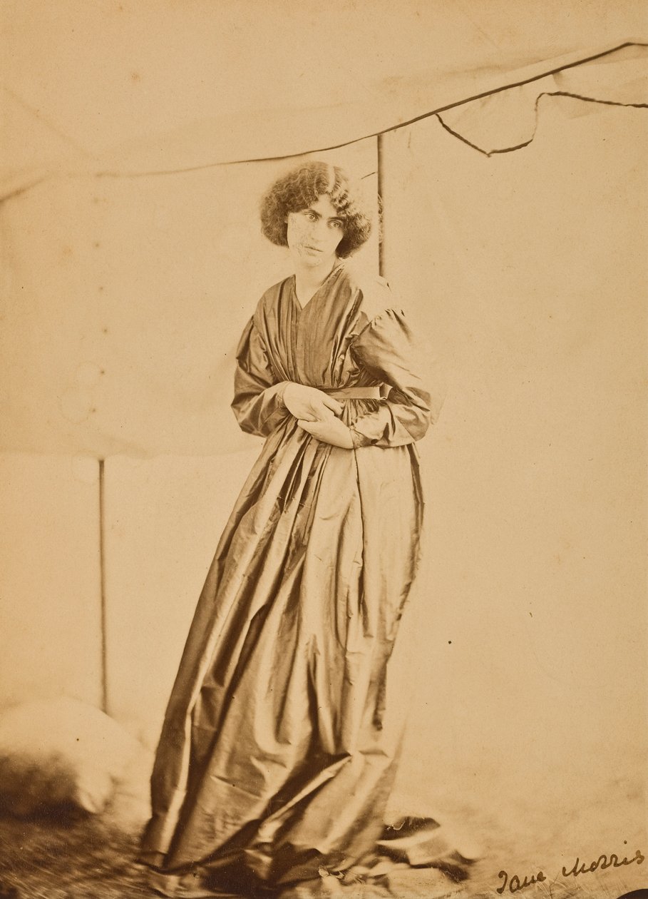 Portrét Jane Morrisové, 1865 (albumenový tisk) od John R. Parsons