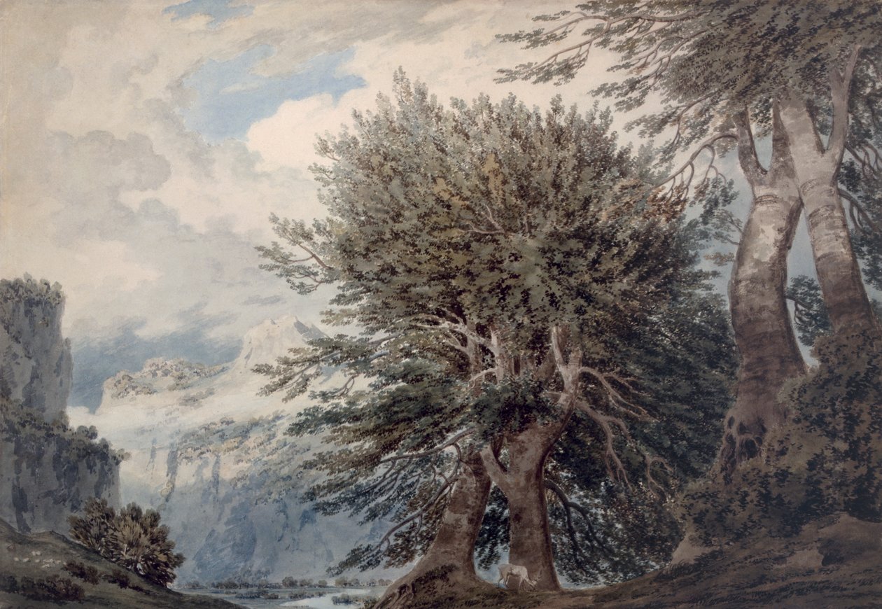 Horská krajina s buky, 1792 od John Robert Cozens
