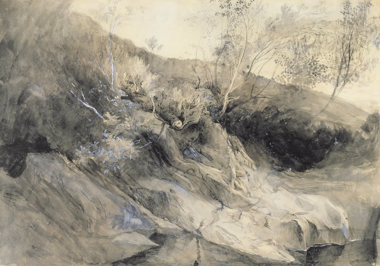 The Rocky Bank of a River - Verso: skica listí, kolem roku 1853 (omyjte perem a inkoustem přes grafit na papíře) od John Ruskin
