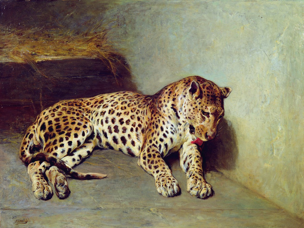 Leopard od John Sargent Noble