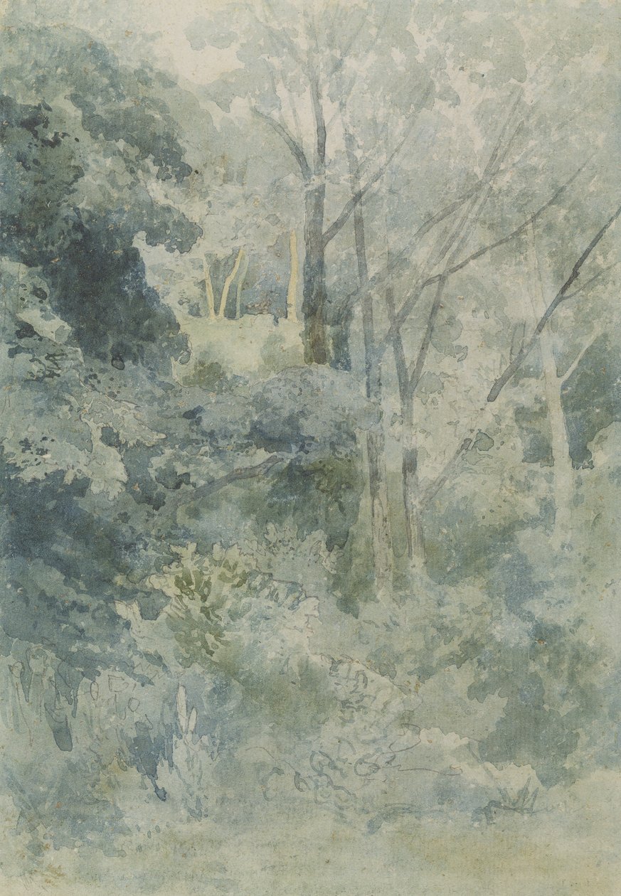 V Rokeby Park, c.1805 (wc a tužka na papíře) od John Sell Cotman