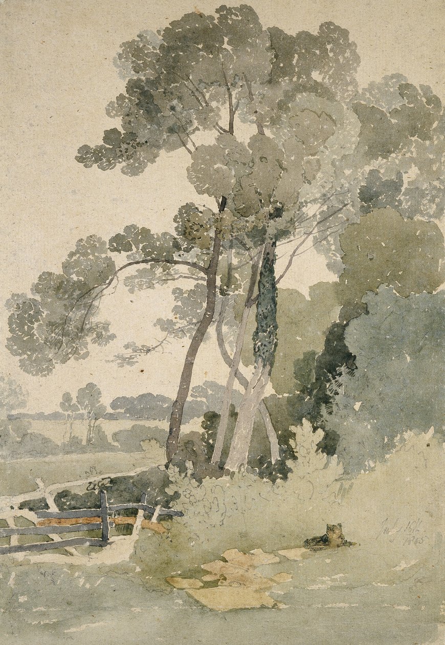 Poblíž Brandsby, Yorkshire, 1865 (akvarel na papíře) od John Sell Cotman