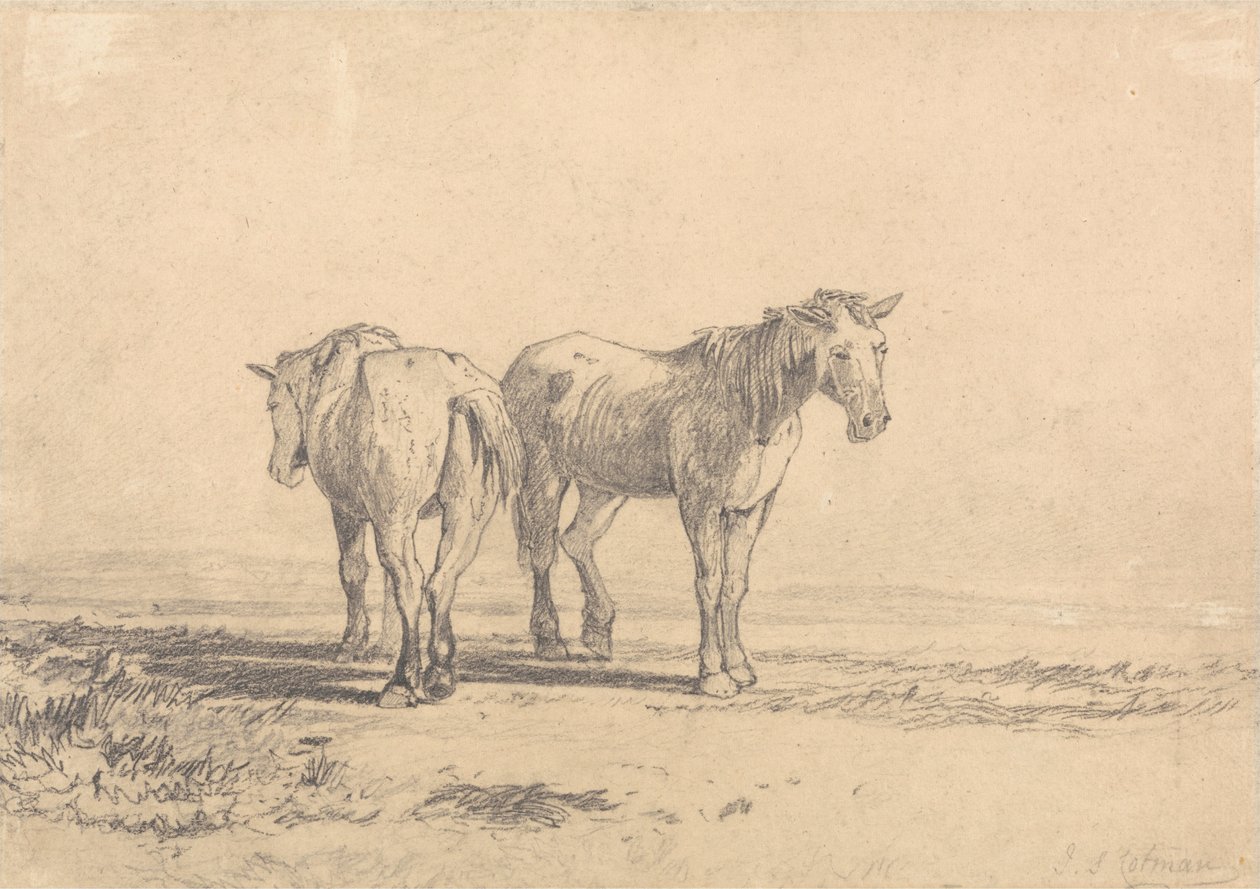 Dva staří koně stojící v poli od John Sell Cotman