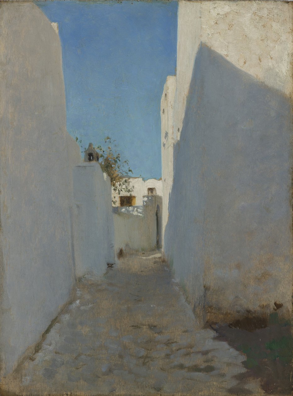 Marocká pouliční scéna, 1879-1880 (olej na dřevě) od John Singer Sargent