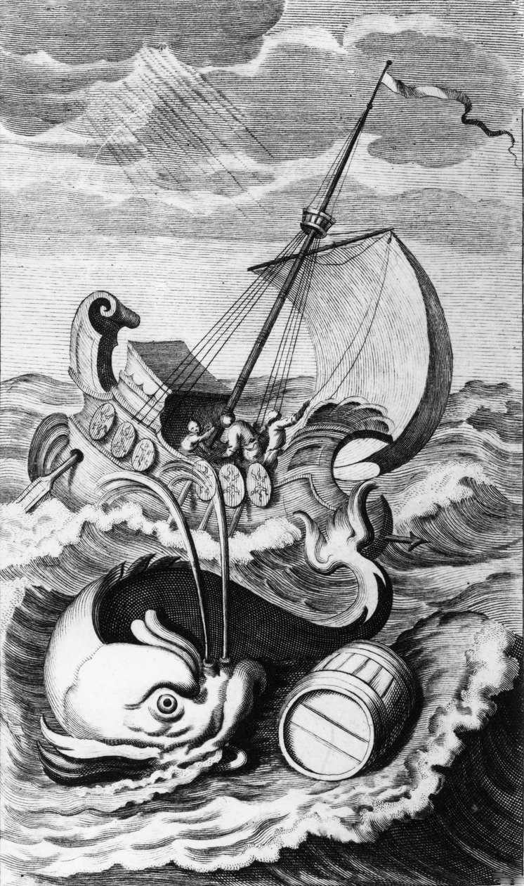 Ilustrace ze Swift