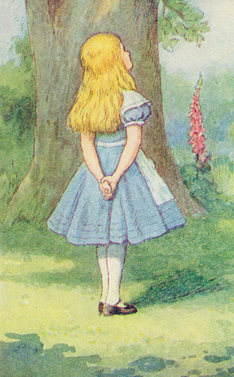 Alenka a kočka z Cheshire, ilustrace z knihy "Alenka v říši divů", Lewis Carroll (1832-9) (detail 264483) od John Tenniel