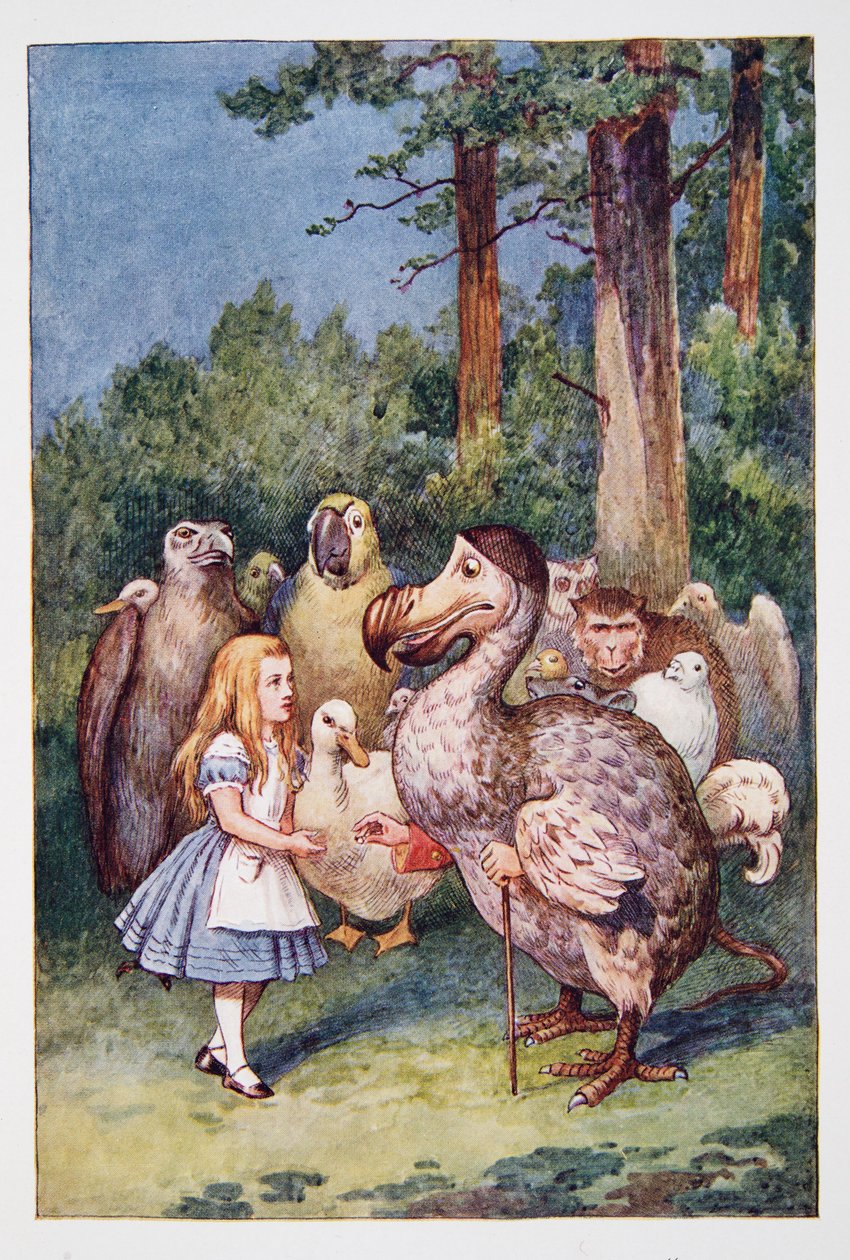 Alice meets the Dodo, z Alices Adventures In Wonderland And Through The Looking-Glass And What Alice Find There, Lewis Carroll (1832 - 98), vydáno 1911 (barevná litografie) od John Tenniel