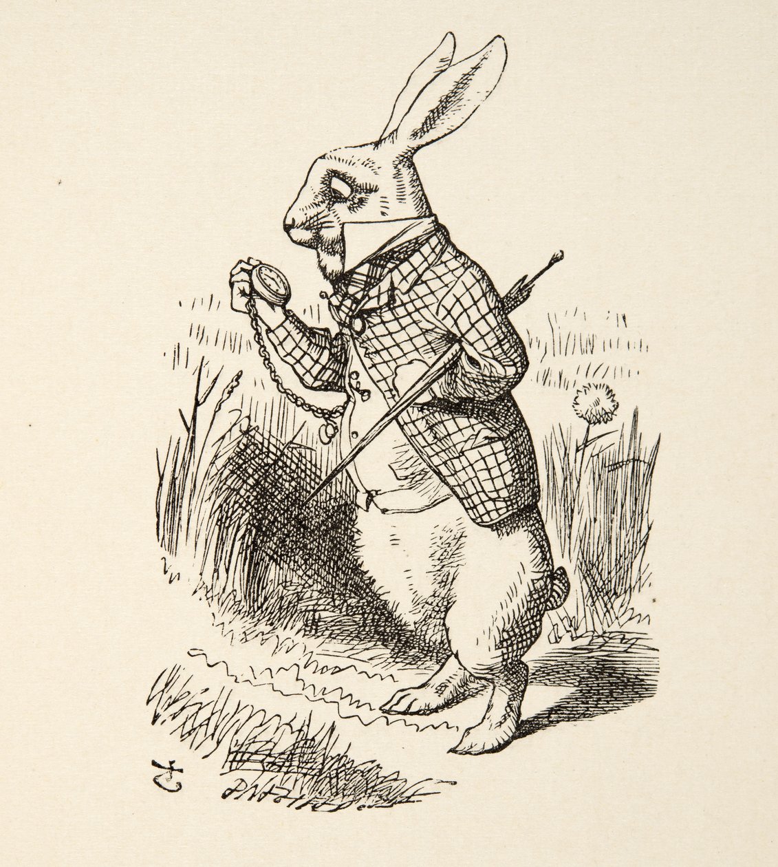 Bílý králík z knihy Alenčina dobrodružství v říši divů od Lewise Carrolla (1832 - 98), vyd. 1891 od John Tenniel