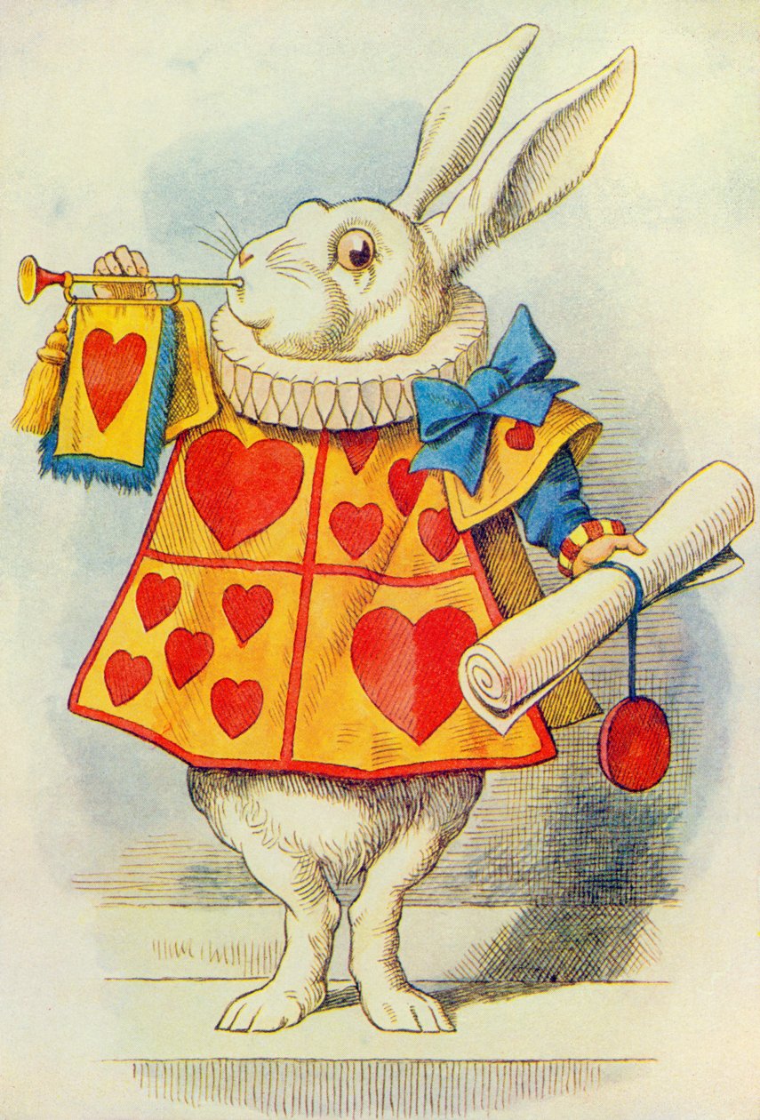 Bílý králík, ilustrace z 