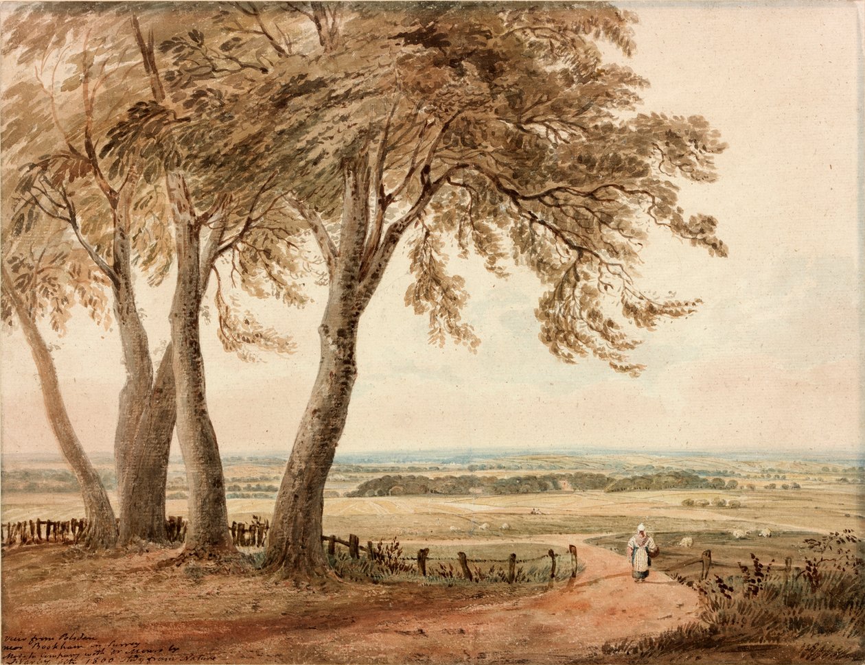 Pohled z Polesden, Surrey, 1800 od John Varley