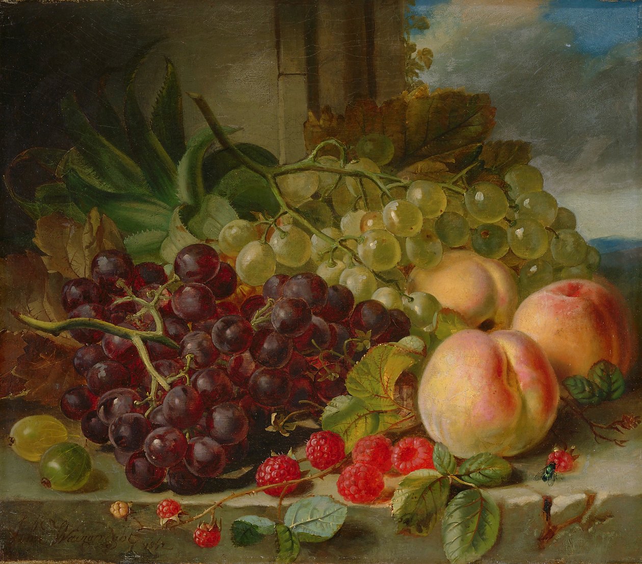 Zátiší s ovocem, 1862 od John Wainwright