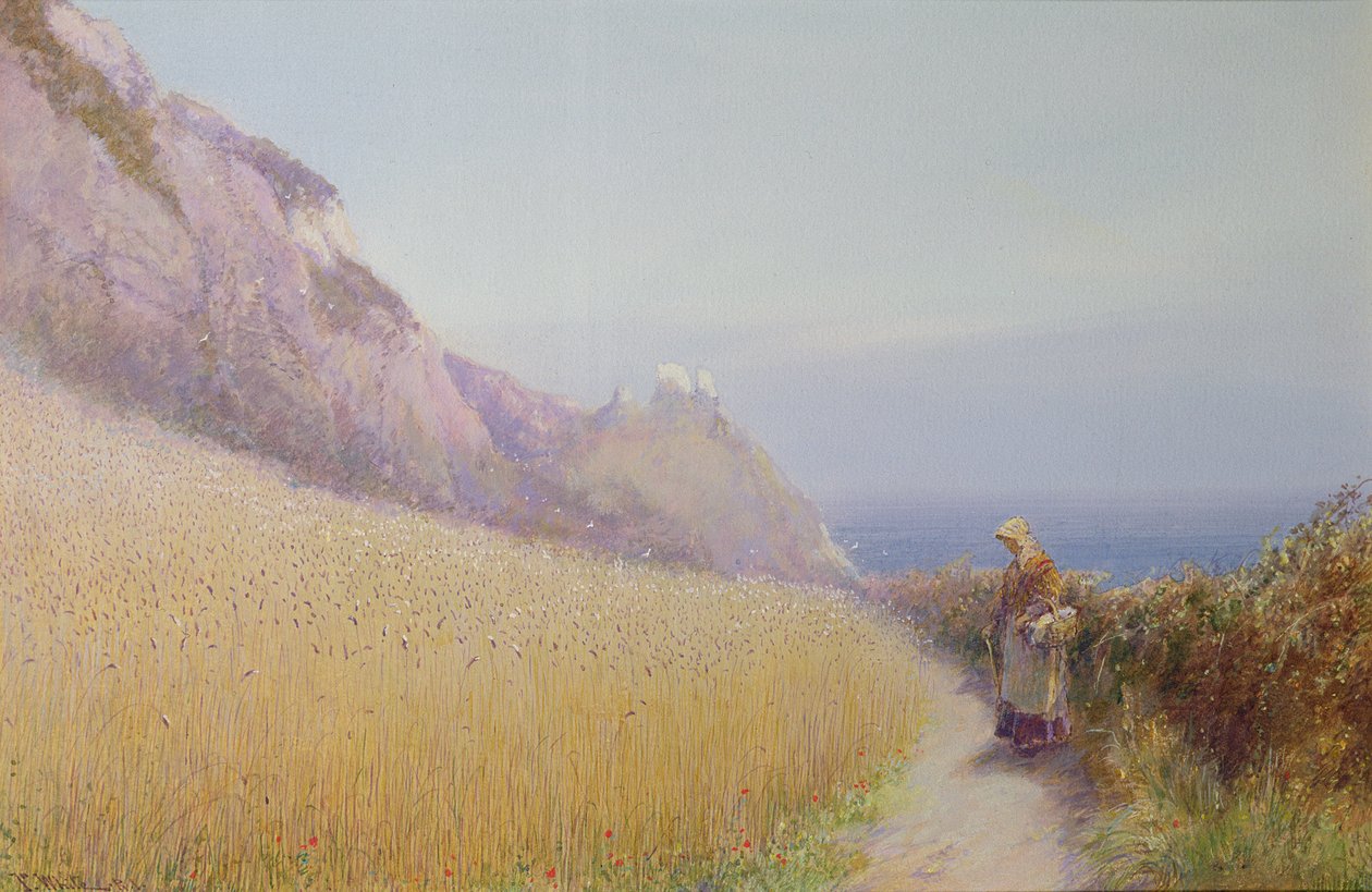 Kukuřičné pole poblíž Sidmouth, Devon od John White