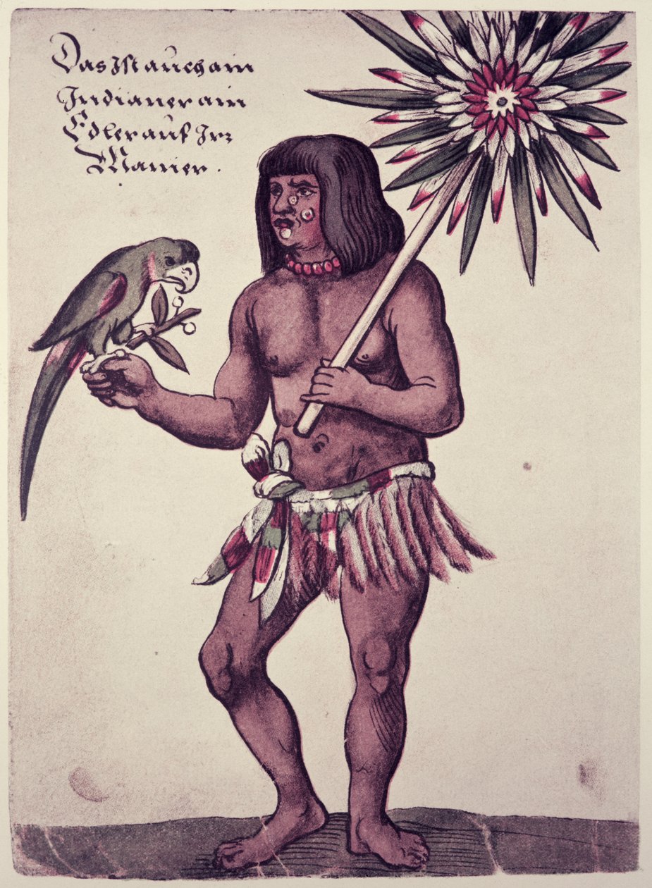 Amazonský indián, rytý Theodore de Bry (1528-98) od John White