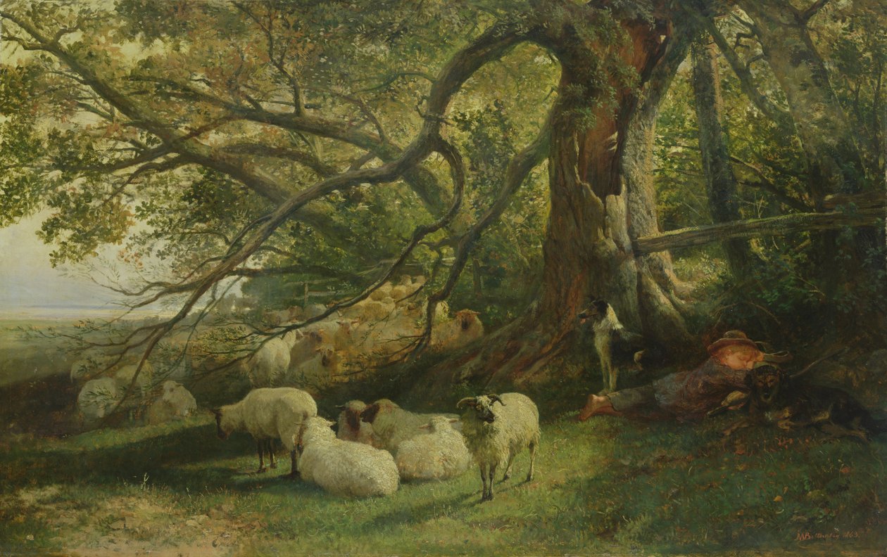 Odpočívající hejno, 1863 od John William Bottomley