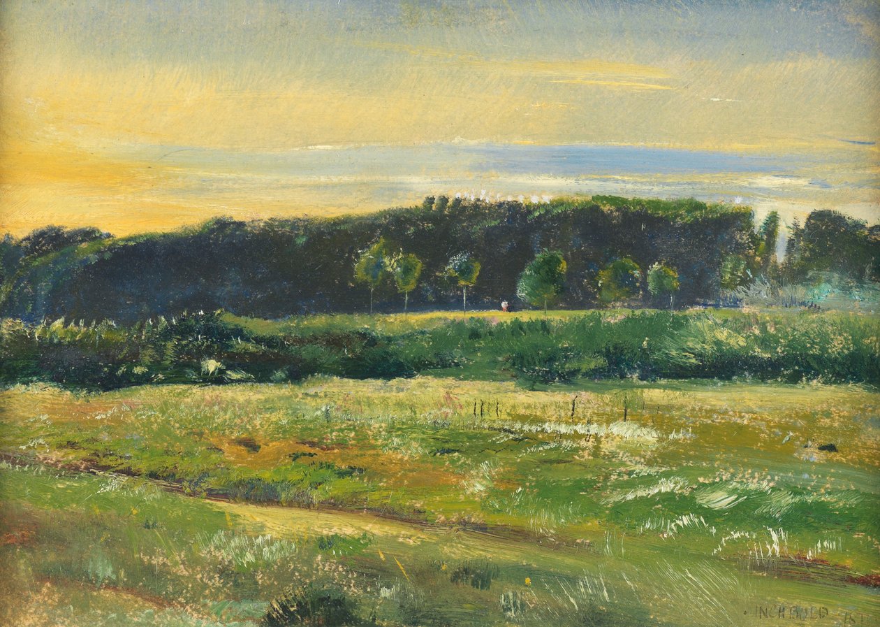 The Common, červen 1871 (olej na kartě) od John William Inchbold