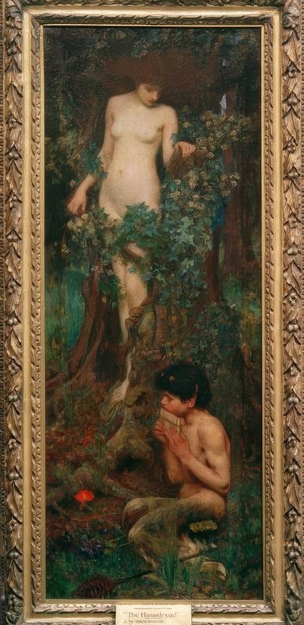 Hamadryád od John William Waterhouse