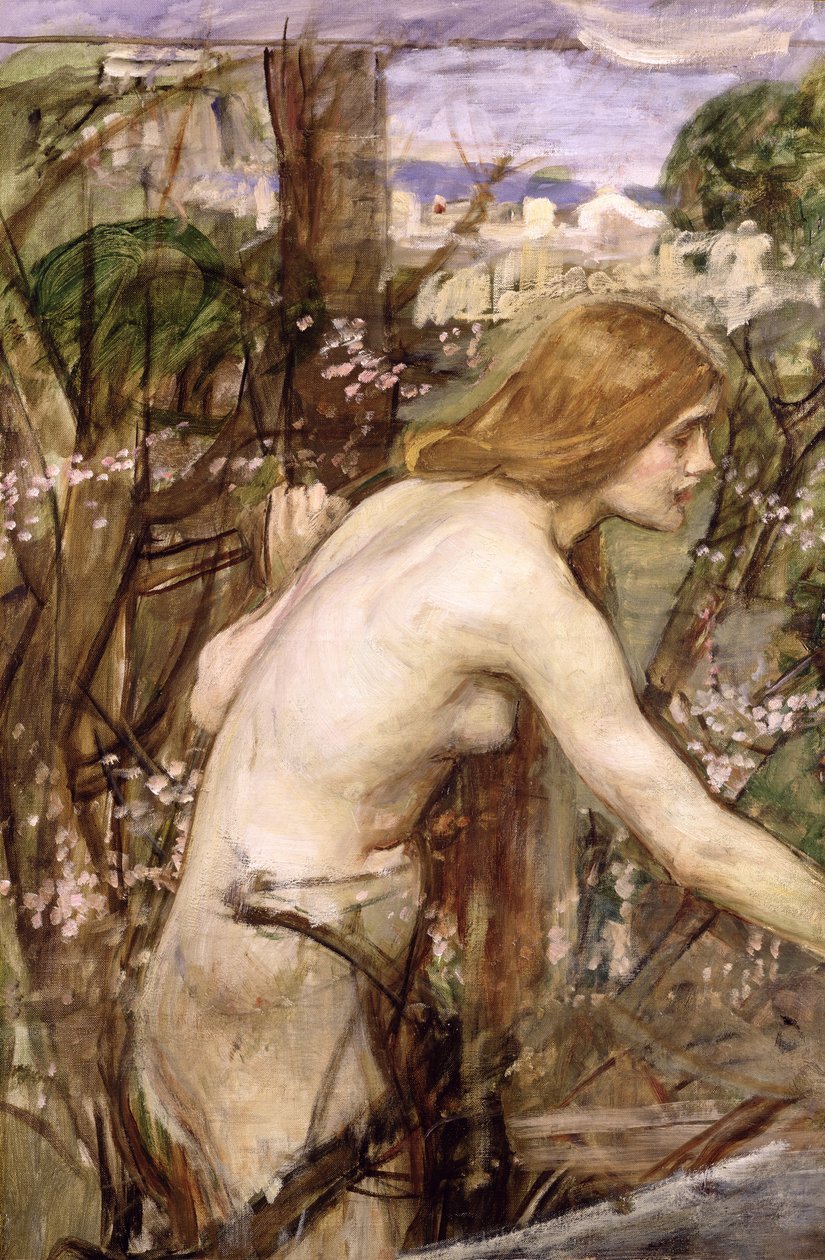 Sběrač květin (olej na plátně položeném na palubě) od John William Waterhouse