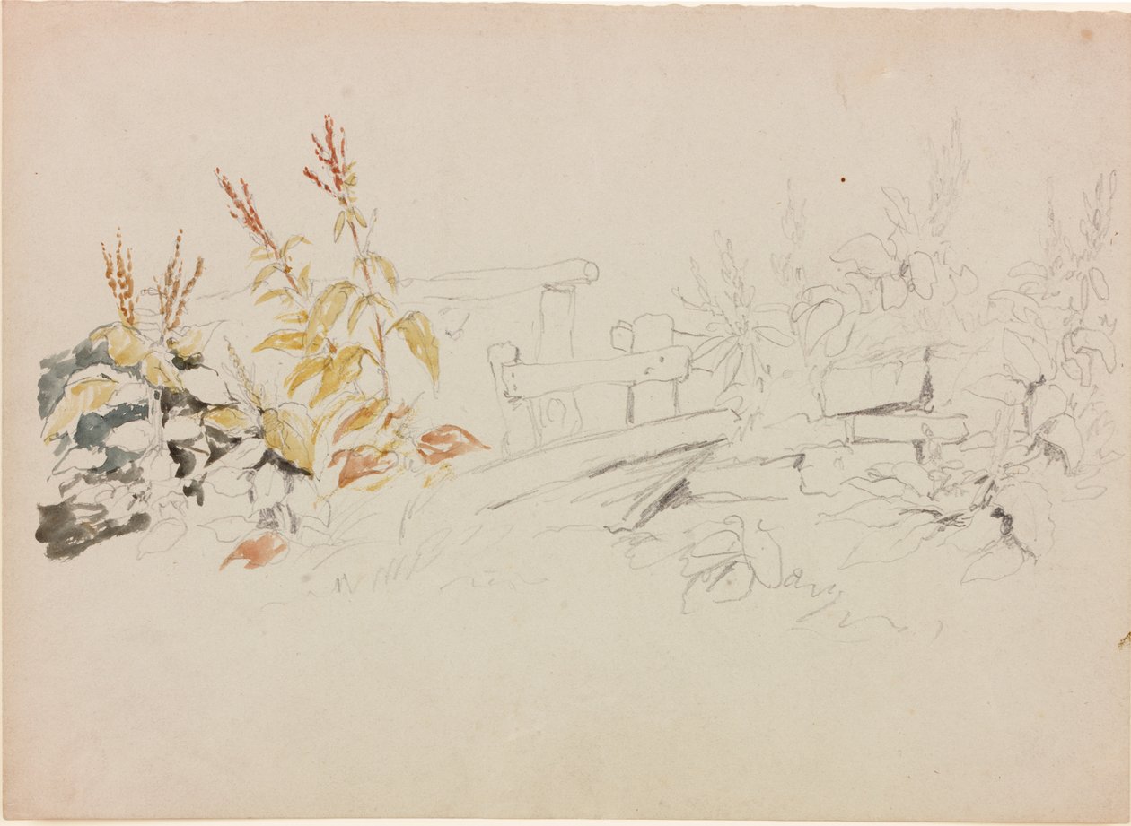 Studium přírody (tužka a akvarel na papíře (šedá)) od John Wilson Carmichael
