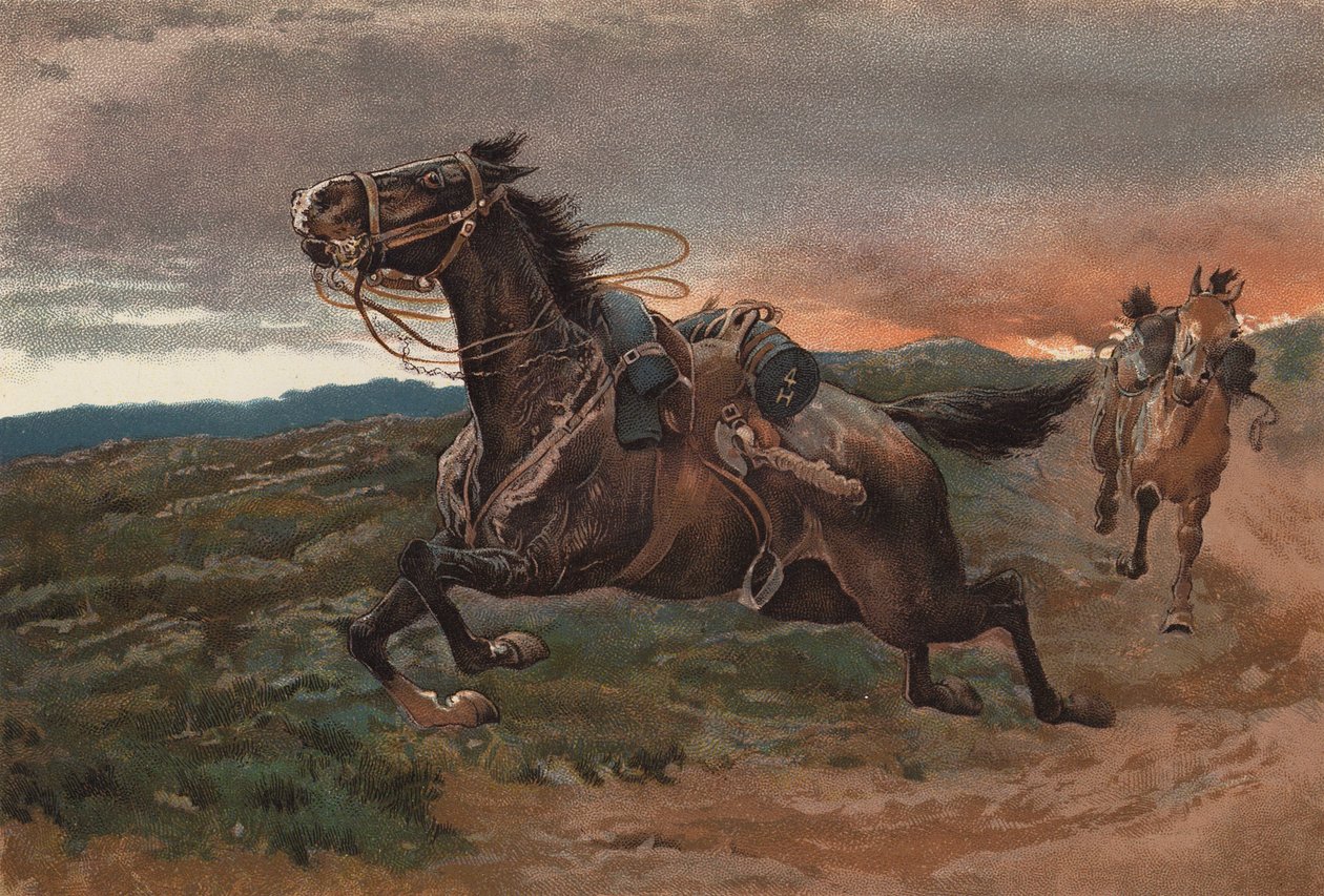  od John (after) Charlton