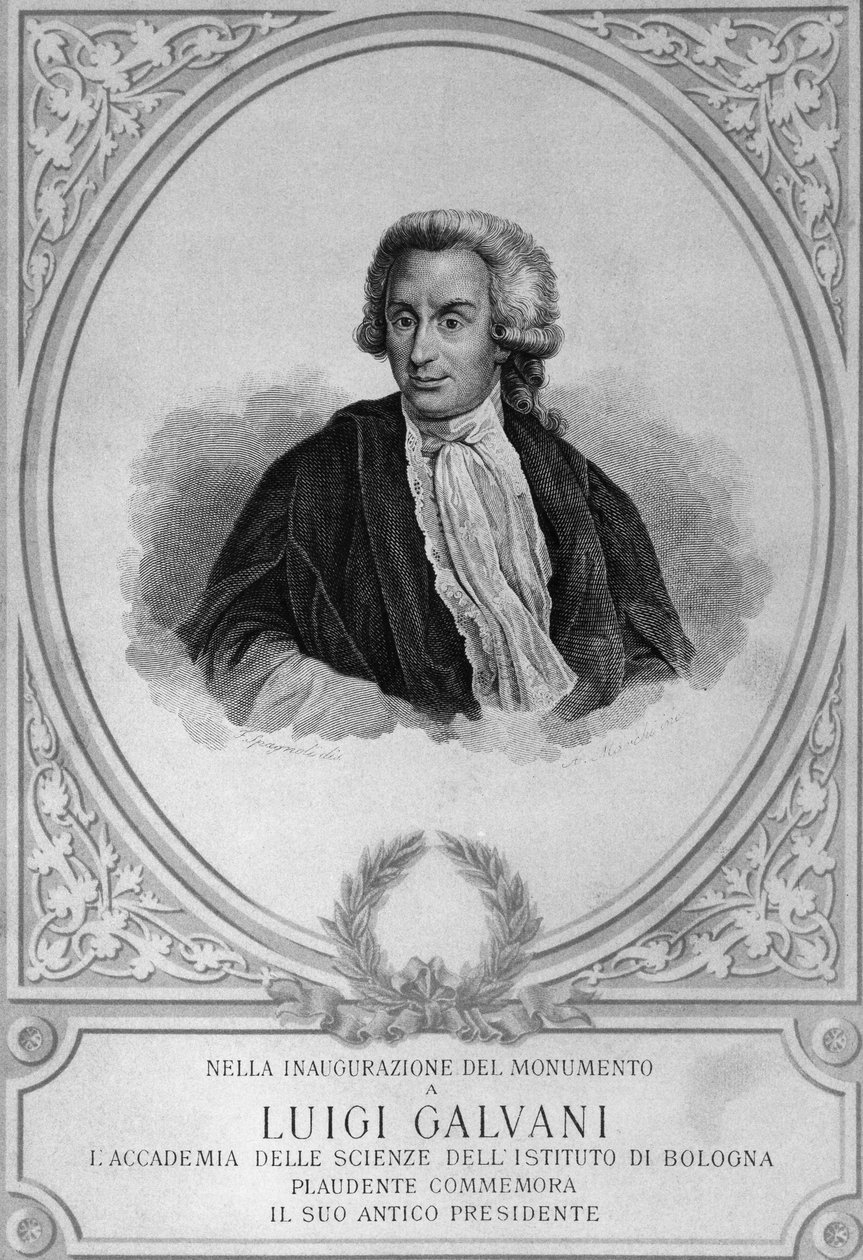 Portrét Luigiho Galvaniho (1737-1798), italského fyziologa, fyzika, biologa a anatoma, který objevil živočišnou elektřinu, kresba od Walter Charles Mills
