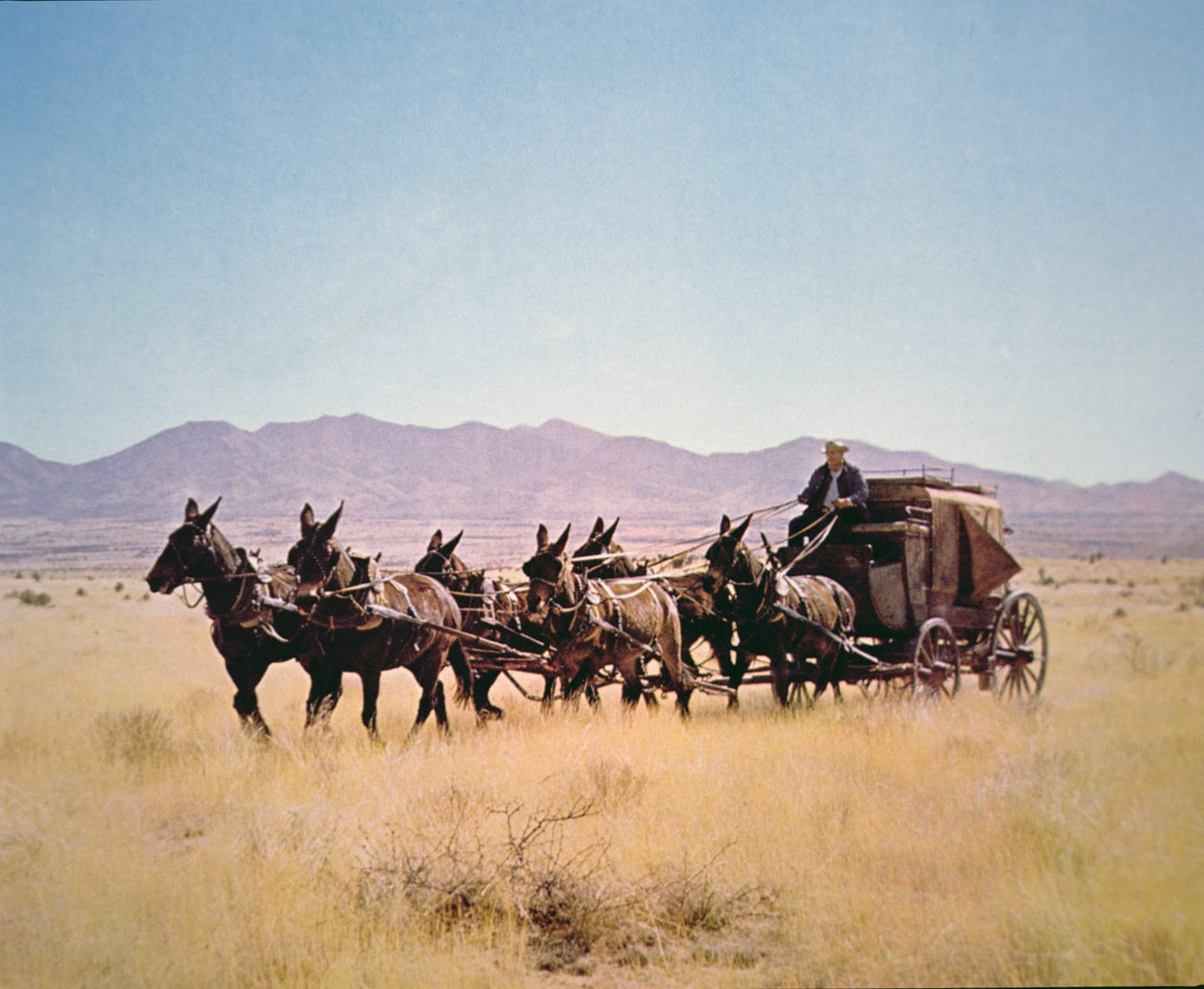 Western Stagecoach tažený týmem šesti mul (foto) od Walter Charles Mills