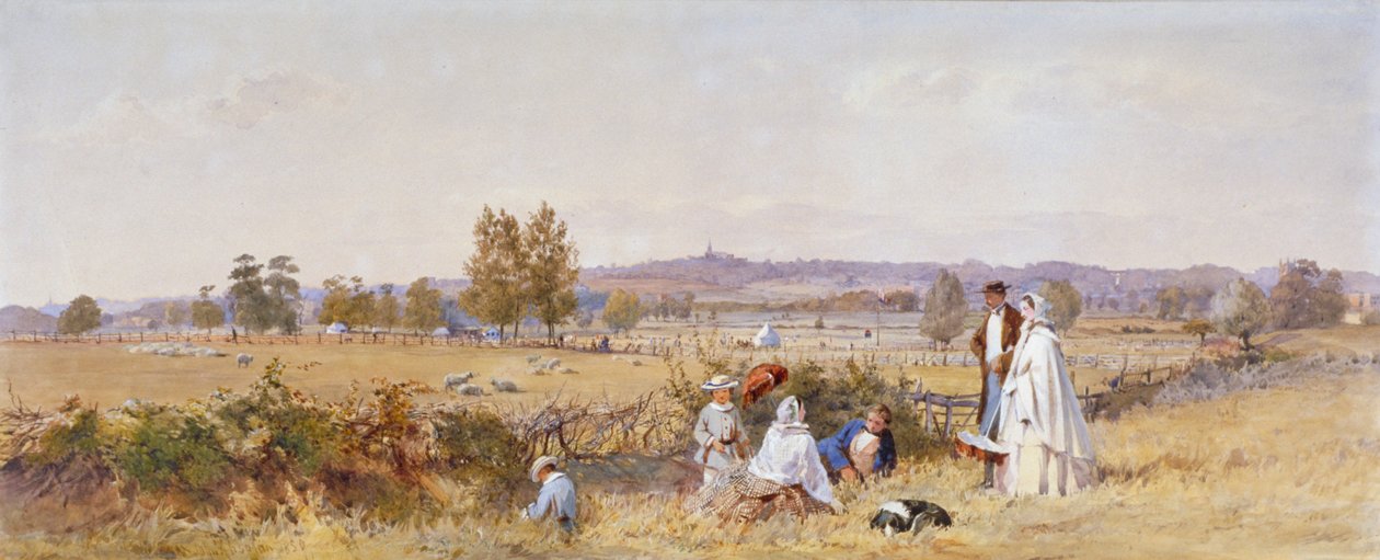 Fields v zadní části věznice Holloway, Islington, Londýn, 1859 od John Absolon