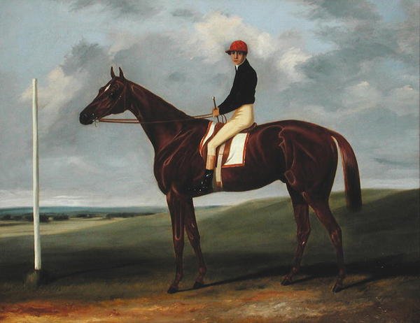 Kaštanové hříbě s žokejem nahoře a startovním stanovištěm (olej na plátně) od John Alfred Wheeler