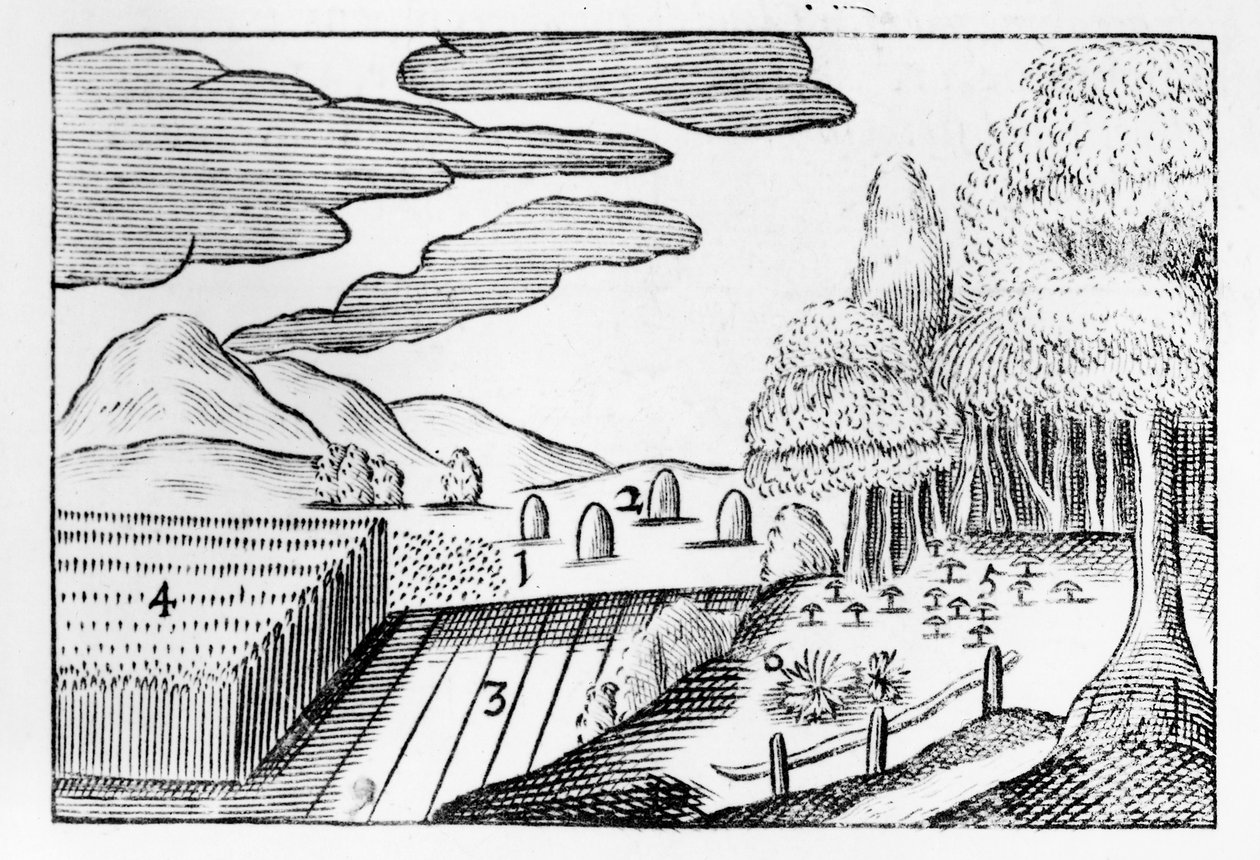 Plody Země, 1658 od John Amos Comenius