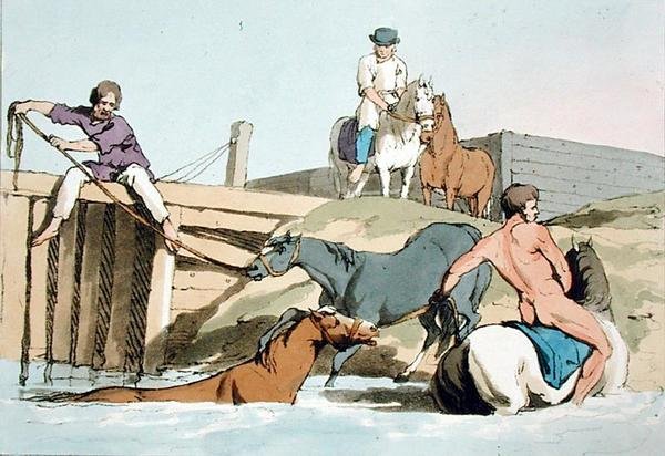 Koupací koně, leptané umělcem, publikováno 1803 (barevné lito) od John Augustus Atkinson