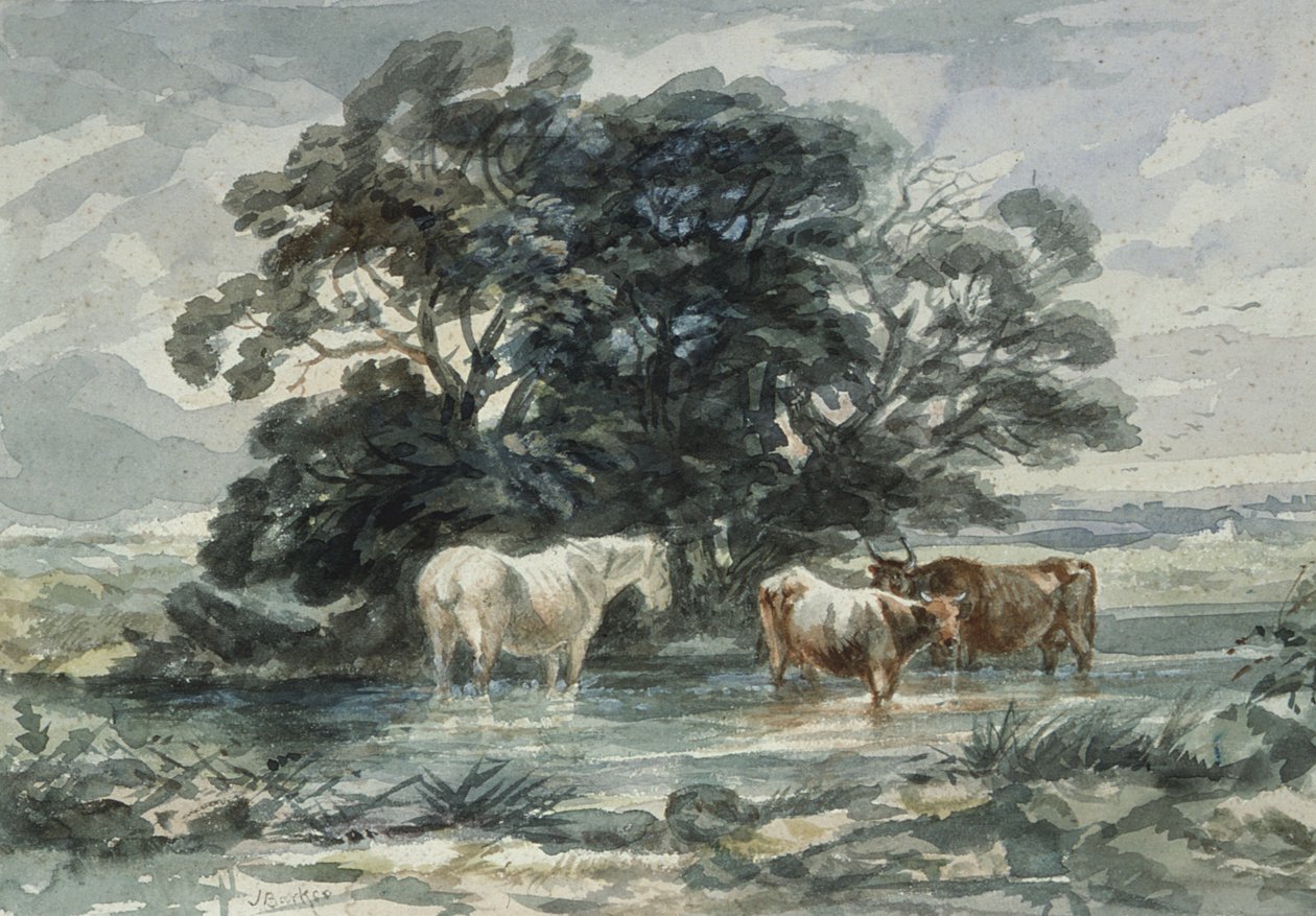 Krajina, dvě krávy a kůň stojící ve vodě, (náčrt) od John Barker