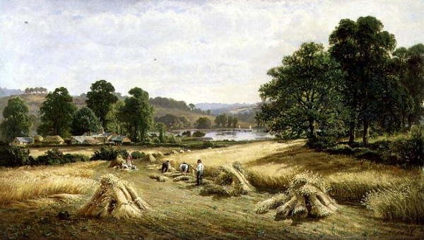 Shromažďování zlatého zrna poblíž Bishopsteignton, Plymouth od John Barrett