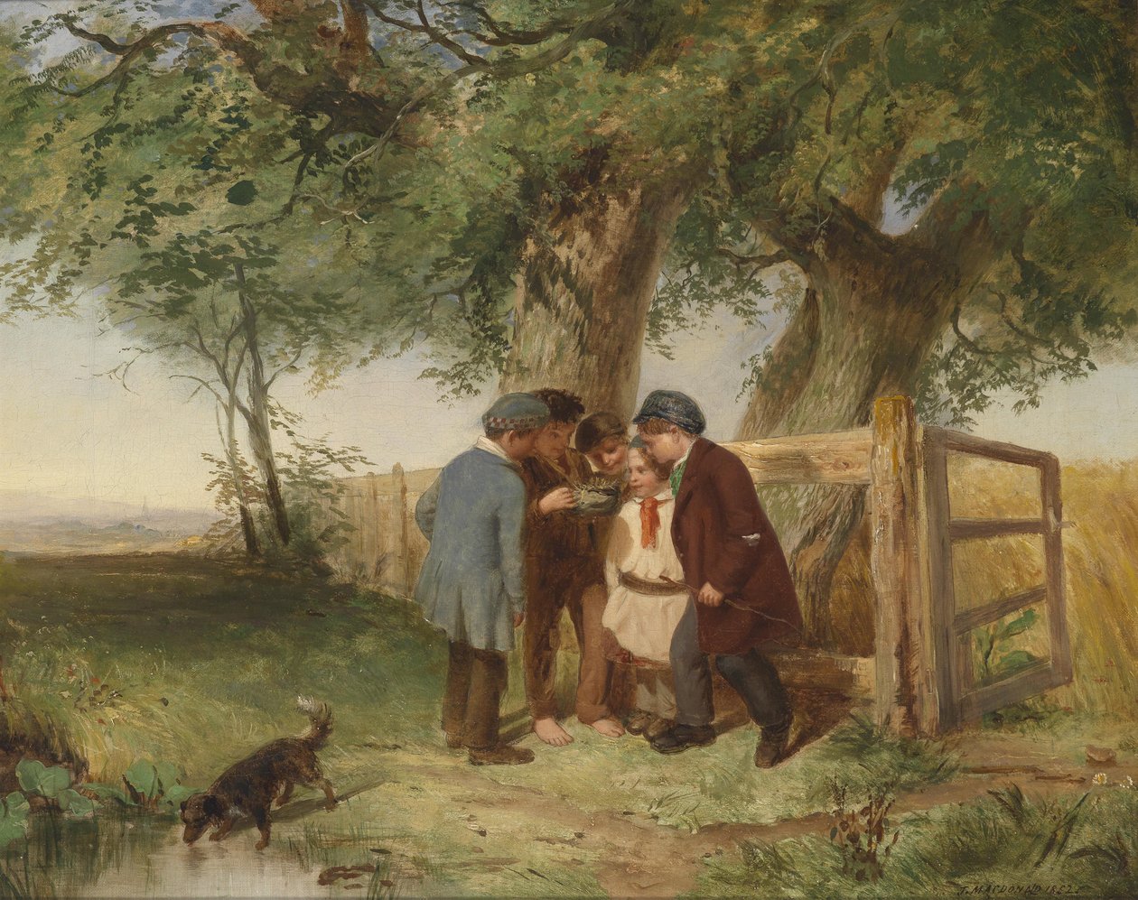 Ptačí hnízdo od John Blake MacDonald