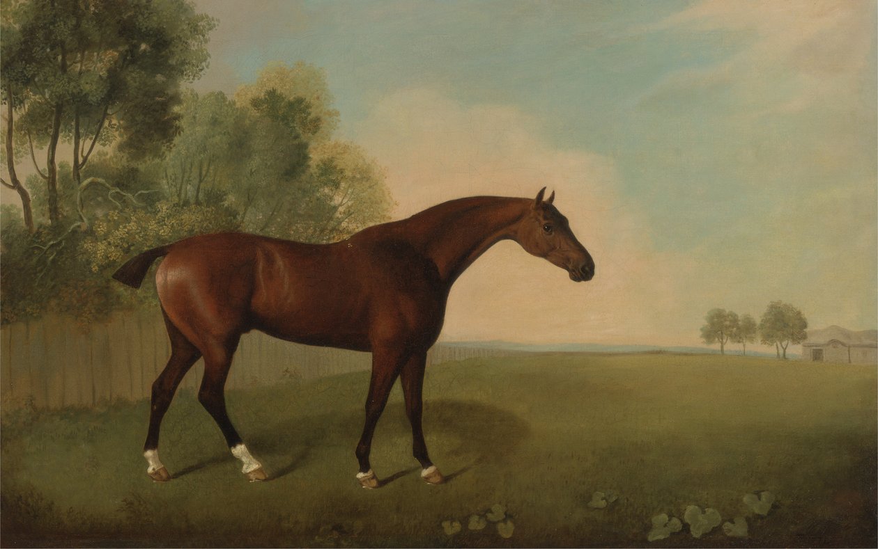 Bay Horse in a Field, 1778 od John Boultbee
