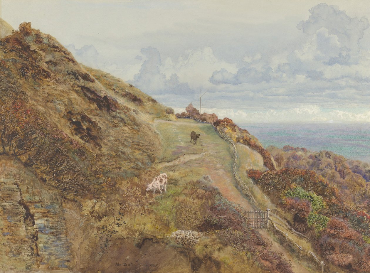 Bonchurch Downs, 1865. od John Brett