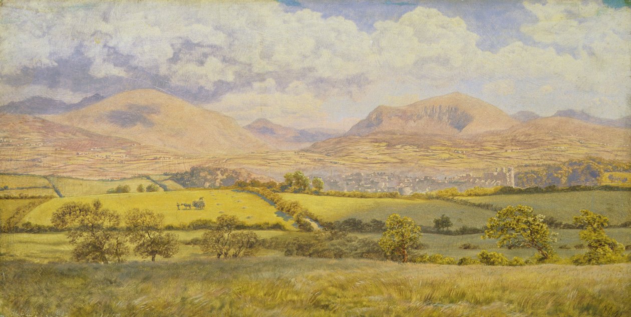 Caernarvon (olej na plátně) od John Brett