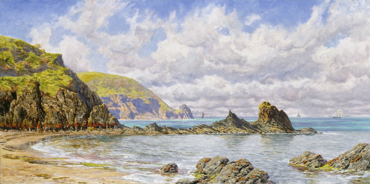 Zátoka Forest Cove, Cardigan Bay od John Brett
