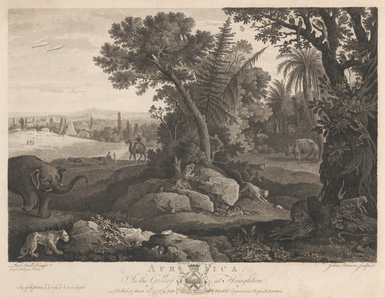 Afrika od John Browne