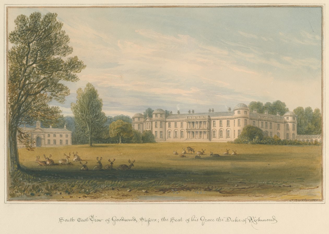 Sussex - Goodwood, 1825 od John Buckler