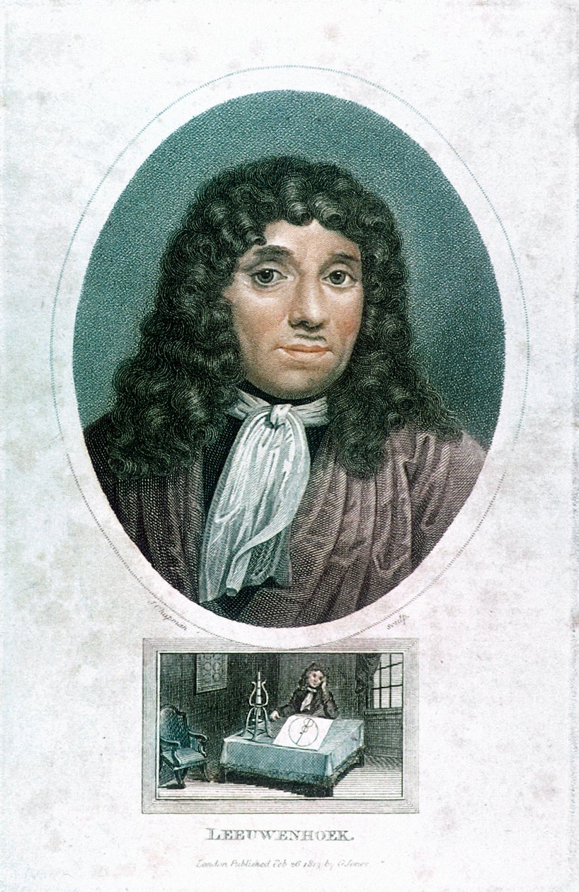 Anton van Leeuwenhoek 1632-1723, holandský mikroskop, c1810 od John Chapman