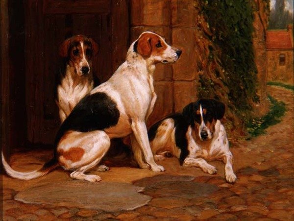 Foxhoundi od John Charlton