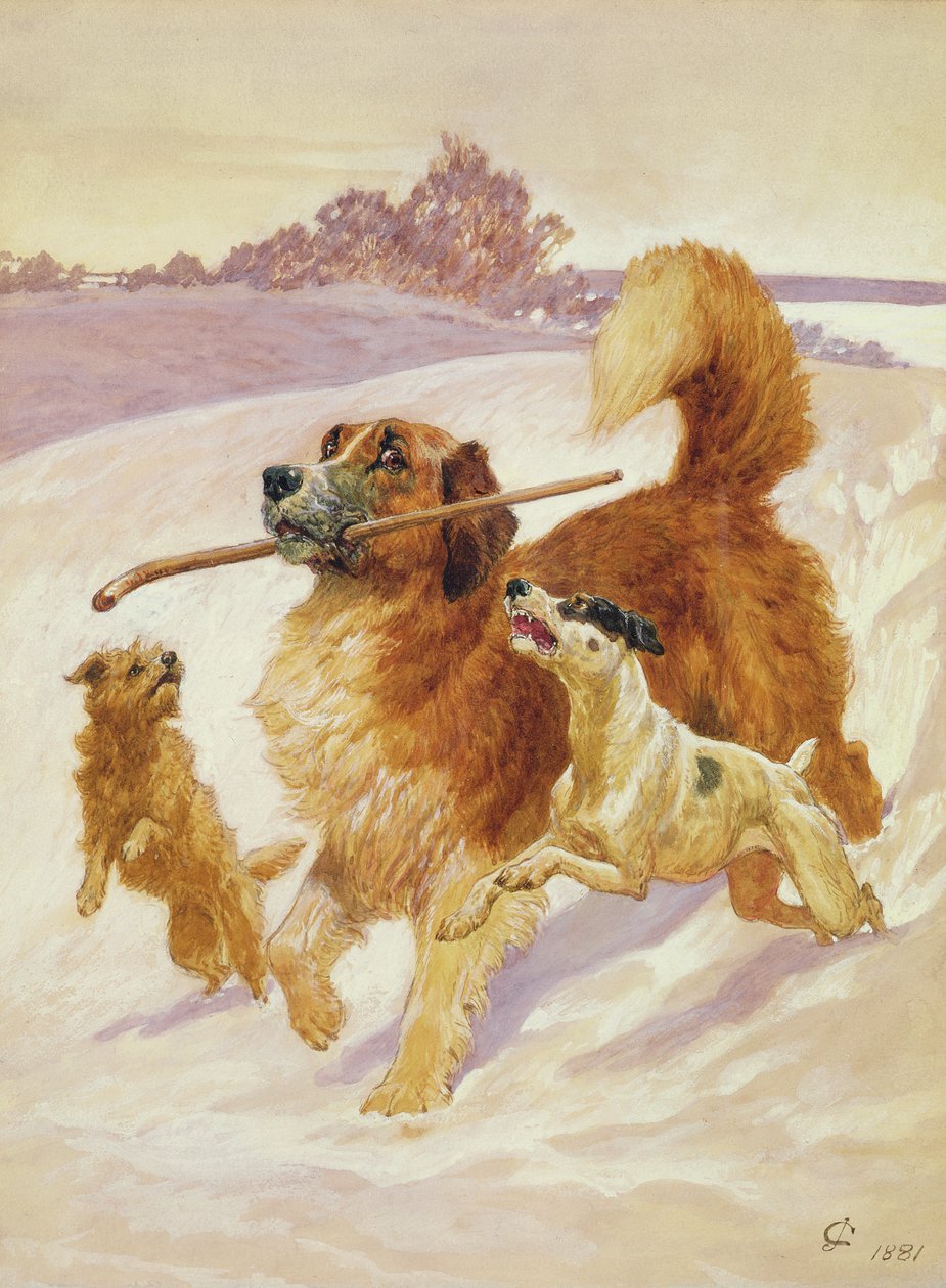 Tři psi hrající si ve sněhu, 1881 od John Charlton