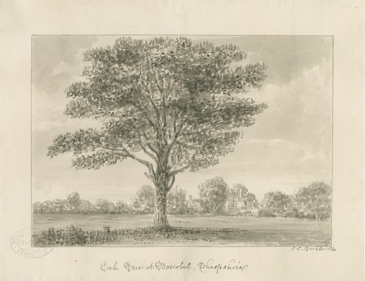 Boscobel - The Royal Oak: kresba sépie, 1820 od John Chessell Buckler