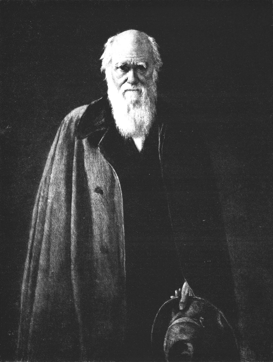 Charles Darwin 1809-1882, 1883, 1912 od John Collier