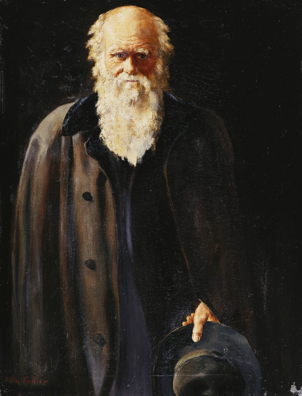Portrét Charlese Darwina, stojící tři čtvrtiny délky, 1897 od John Collier