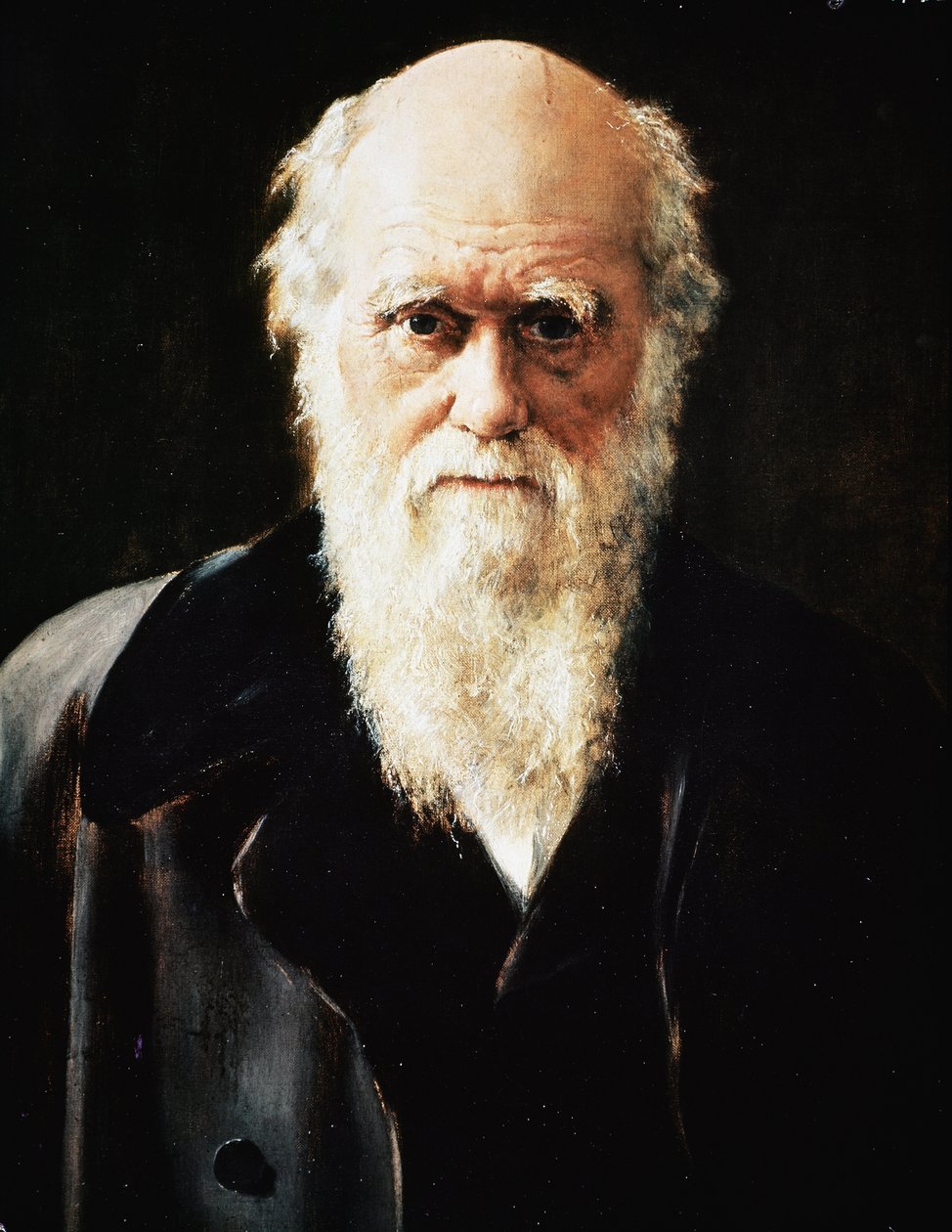 Portrét anglického přírodovědce Charlese Darwina, detail (olej na plátně od John Collier